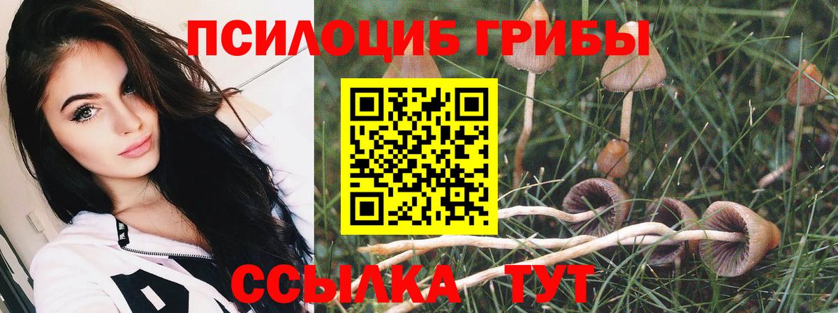 Псилоцибиновые грибы Magic Shrooms Верхняя Пышма